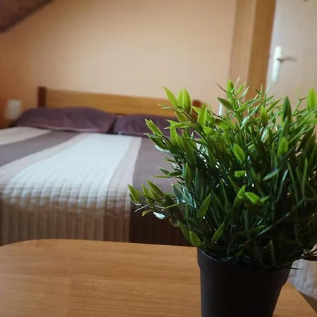 Sunrise Homestay szállás Mielno